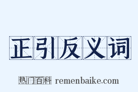 正引反义词是什么意思的图片